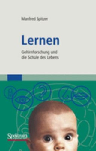 Lernen gehirnforschung und - :,